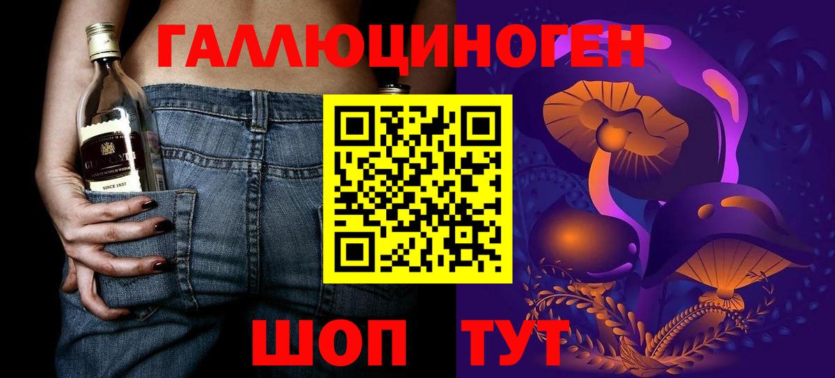 Галлюциногенные грибы Psilocybe  дарнет шоп  Грозный  Вход с VPN  Галлюциногенные грибы мицелий 